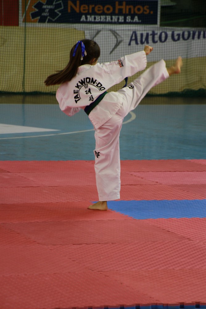 Taekwondo Dic 2016 (181).jpg
